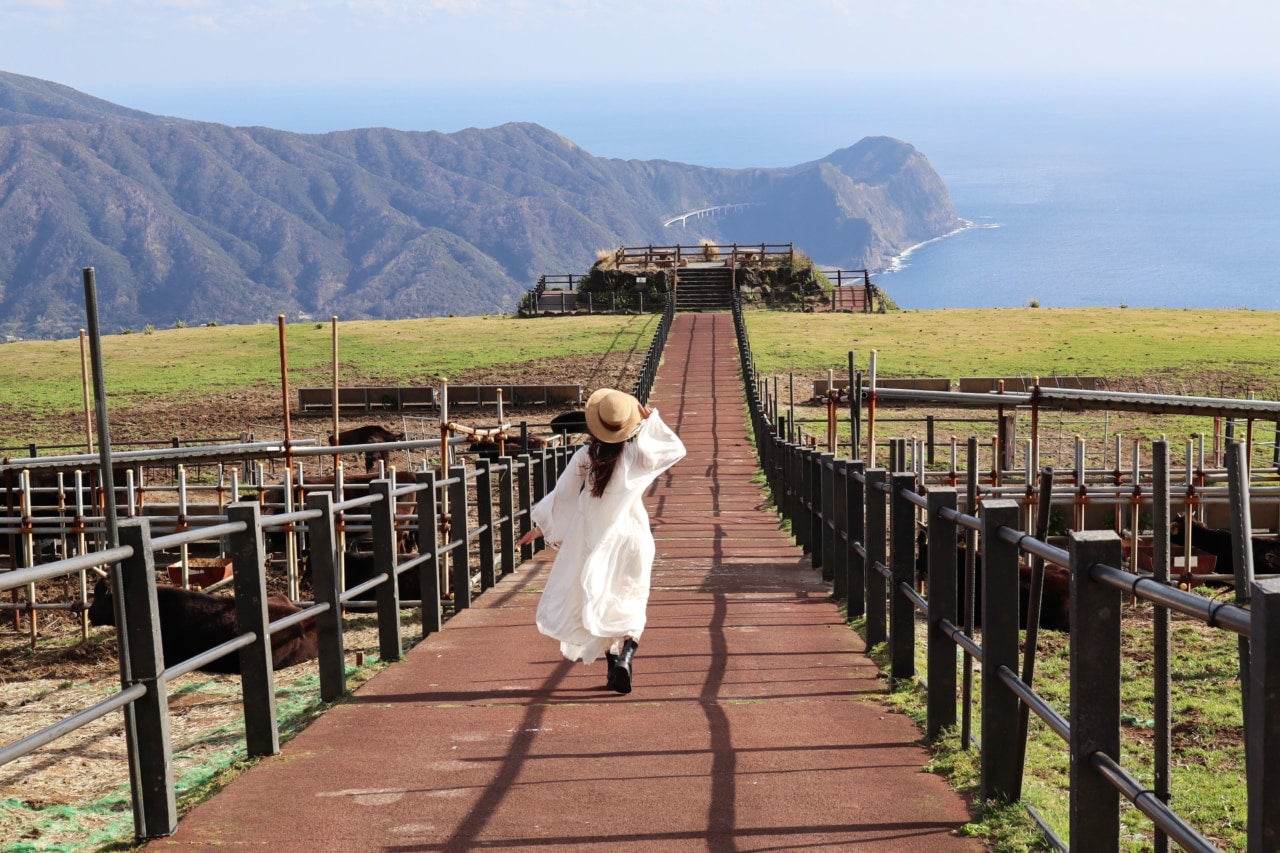 島の風と海に癒やされて。東京から55分の八丈島が働く女子のリフレッシュ旅におすすめだった