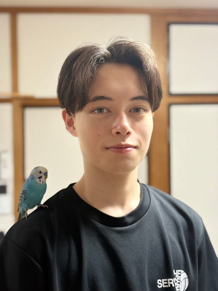 あやと(提供写真)