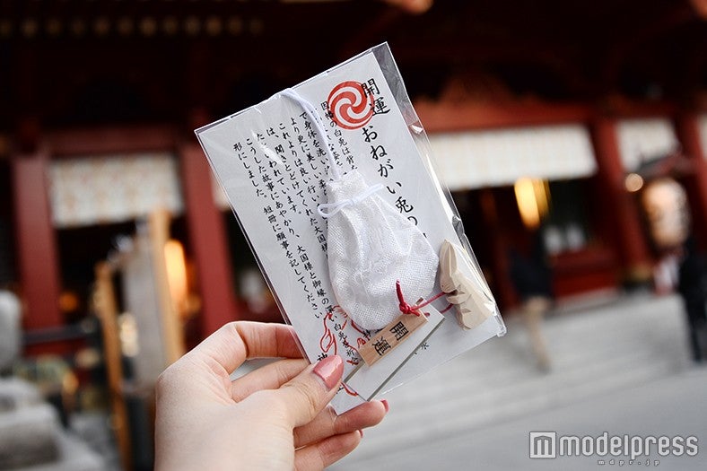 「おねがい兎守」800円（C）モデルプレス