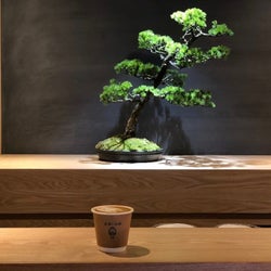 盆栽とコーヒーの素敵な関係!?驚きの新感覚カフェに潜入