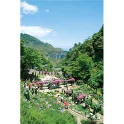 きれいな景色を眺めたり、カフェでひと休みしたり…とあっという間に時間が過ぎてしまいます(提供画像)