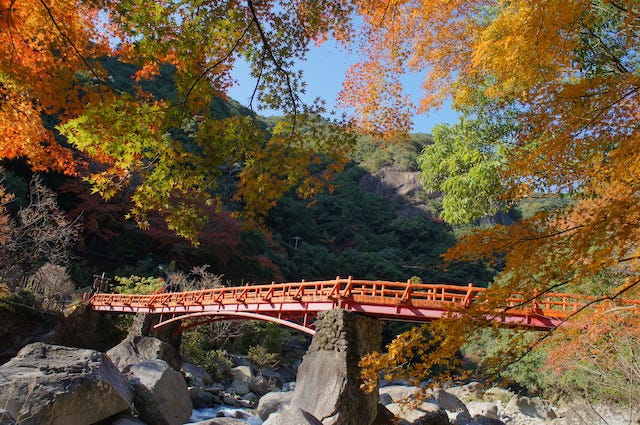 地元ライターおすすめ！大自然の中で紅葉が見られるスポット【和歌山県田辺市】