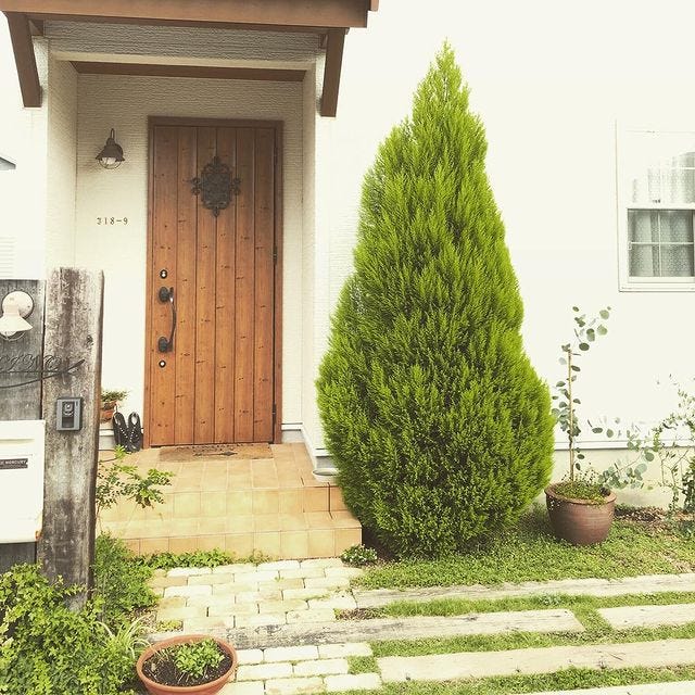 画像13 15 植木で玄関まわりをおしゃれに演出 お家に合うおすすめのシンボルツリーをご紹介 モデルプレス 画像13 15 植木で玄関まわりをおしゃれに演出 お家に合うおすすめのシンボルツリーをご紹介 モデルプレス