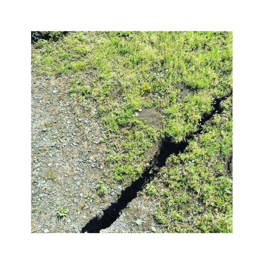 割れた地面／真山景子オフィシャルブログ（Ameba）より