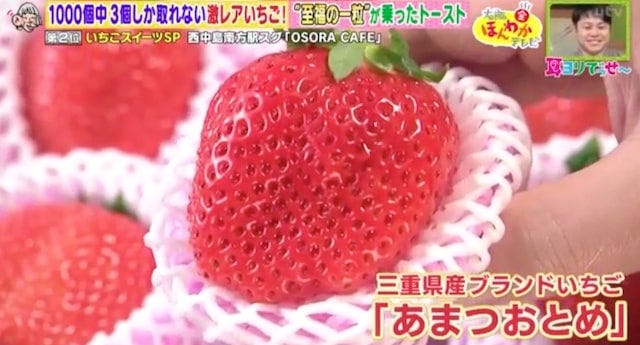 行列必至や激レアも…♡