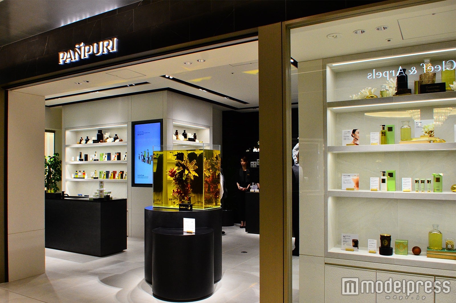 パンピューリ （C）モデルプレス