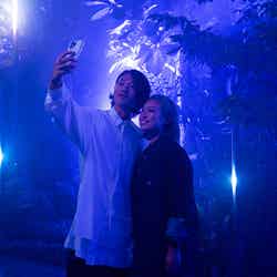 LIGHT CYCLES KYOTO/提供画像