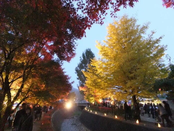 日没直前の河口湖もみじ回廊の紅葉・黄葉(2010年11月13日撮影)