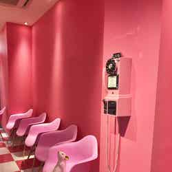 シェリーズアイスクリーム/画像提供:イデアプラス