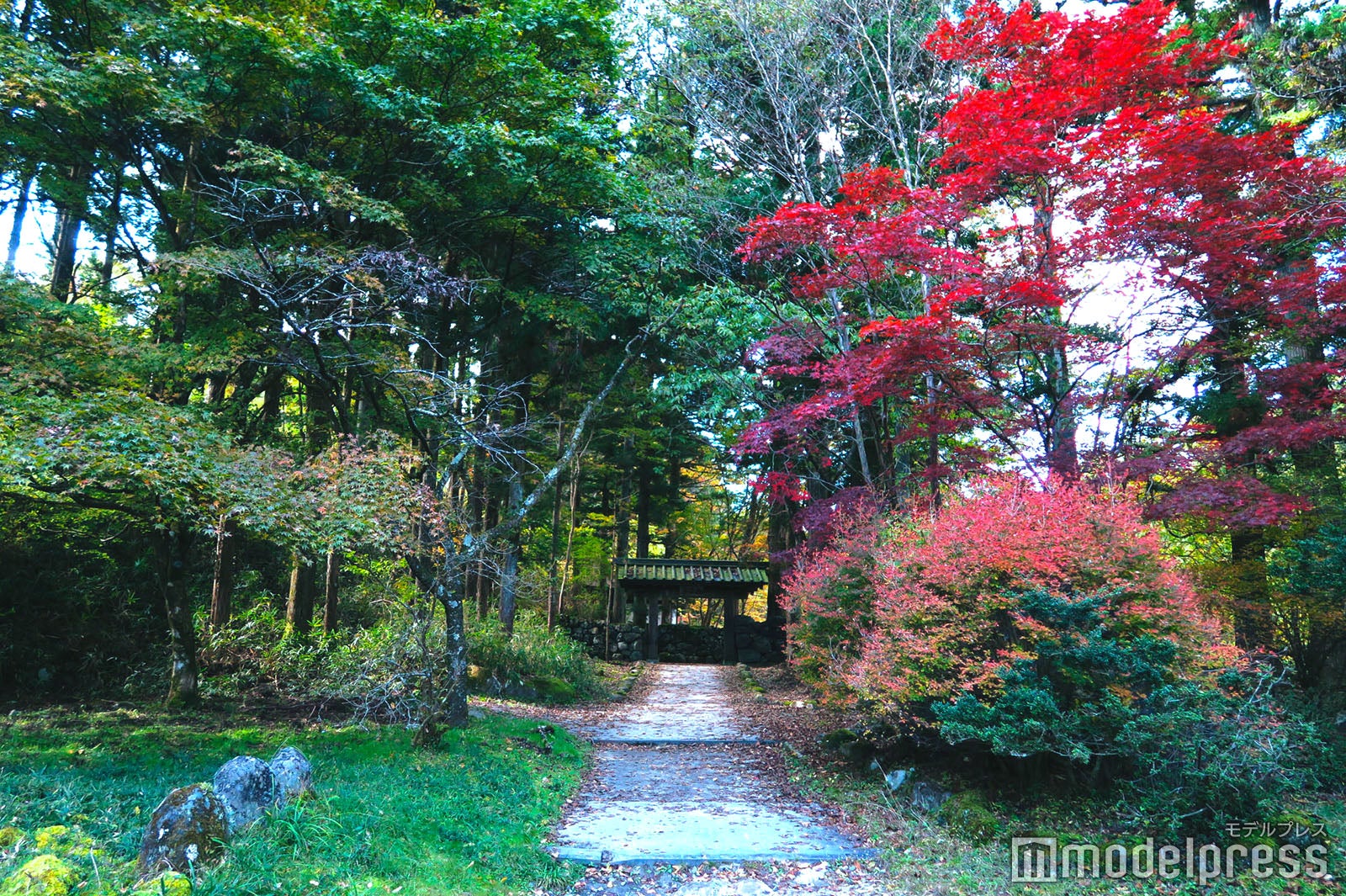 含満（かんまん）公園（10月下旬撮影）（C）モデルプレス