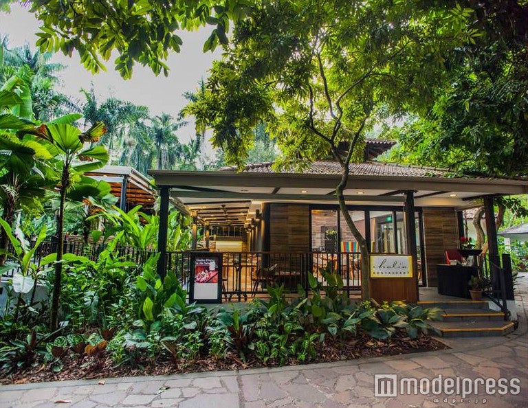 ハリア・アット・シンガポール・ボタニック・ガーデン ダイニングルーム／画像提供：JTBワールドバケーションズ