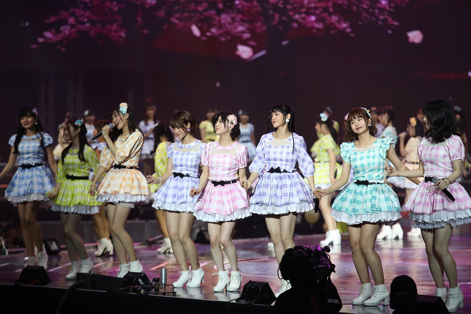 「AKB48 Group Asia Festival 2019」の様子（C）AKS