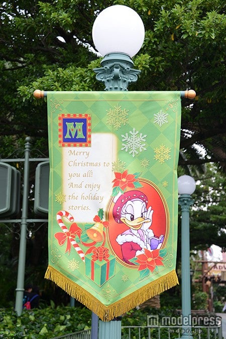 フラッグ　デイジー