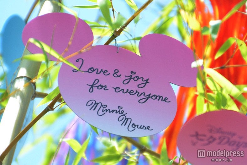 ミニーのウィッシングカード