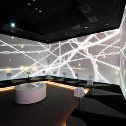 シアター/画像提供:第一三共株式会社