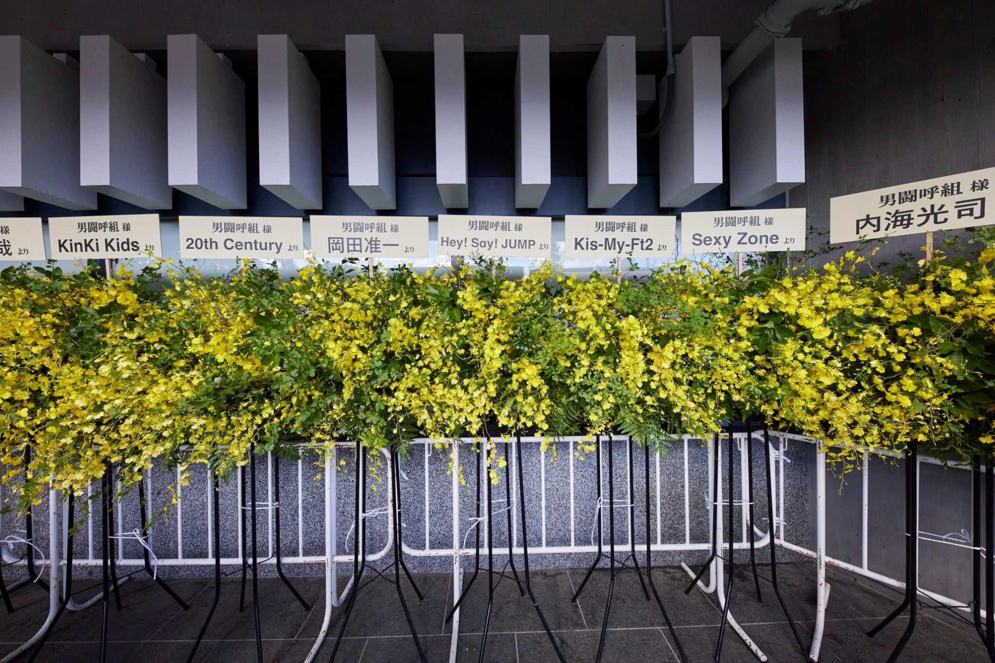 男闘呼組「LASTFOREVER」より（提供写真）