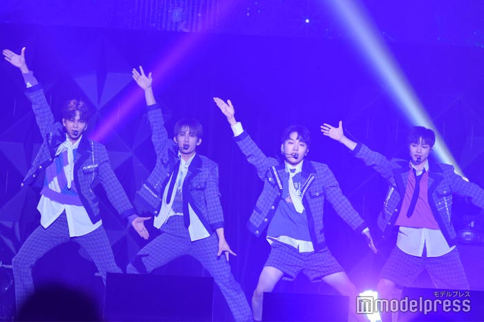 TOZ(C)モデルプレス