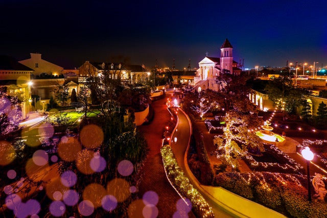 ／画像提供：ツカダ・グローバルホールディング