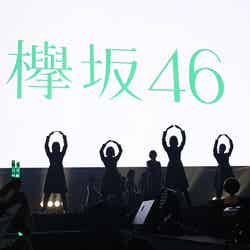 欅坂46（提供写真） 