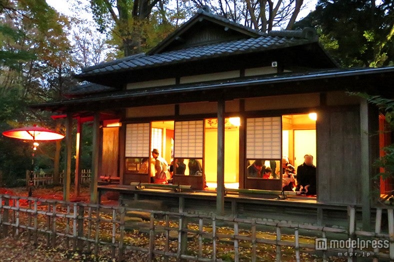紅葉を見ながらお茶と和菓子を味わえる「心泉亭」