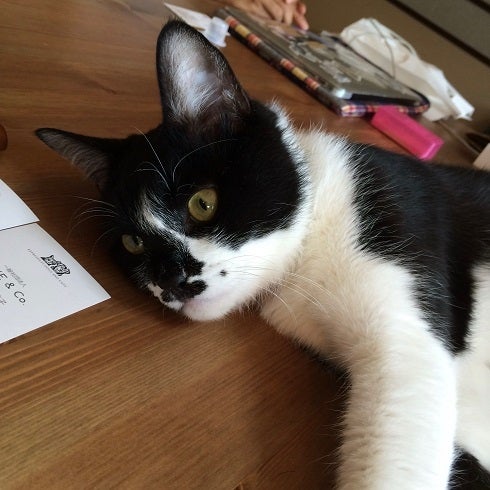 Cat’s Meow Books／画像提供：Cat’s Meow Books