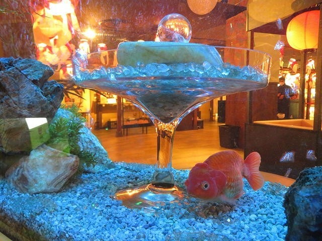どこからみても綺麗！幻想的な癒しスポット「奈良金魚ミュージアム」【奈良県奈良市】