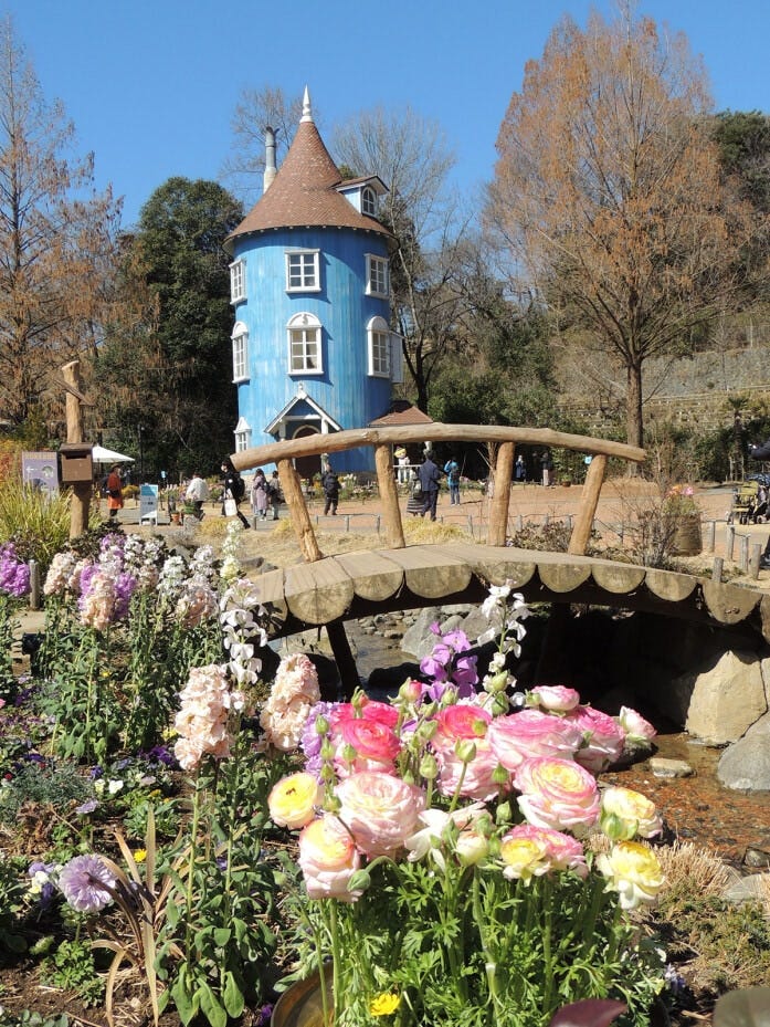 ムーミン屋敷を背景にした春の花のカットを写真で狙ってみましょう