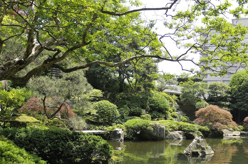 庭園 山水／画像提供：水明館