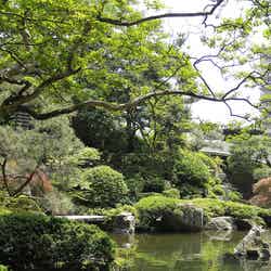 庭園 山水/画像提供:水明館