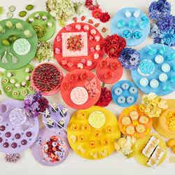 サマースイーツコレクション ~COLORFUL × KOREAN~/画像提供:京王プラザホテル