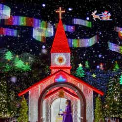 光の花の庭~Flower Fantasy~/画像提供:足利フラワーリゾート