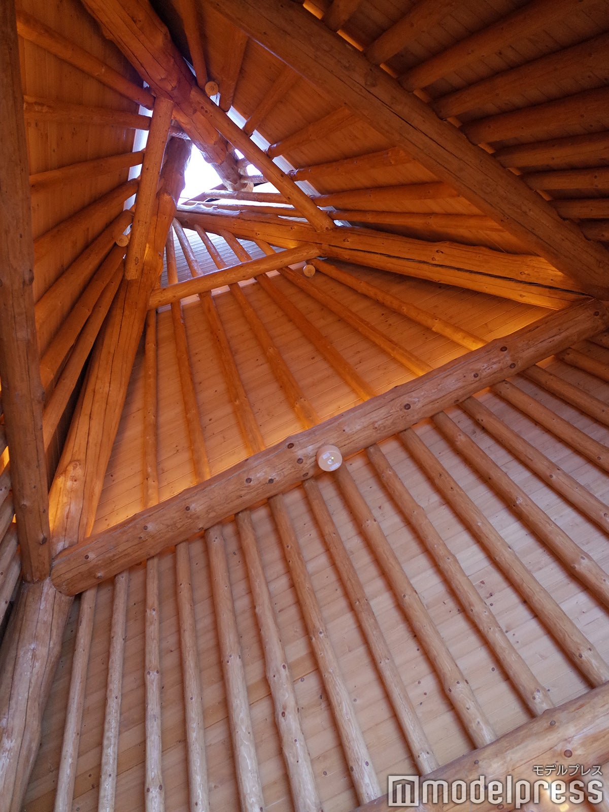 界 ポロト（C）モデルプレス