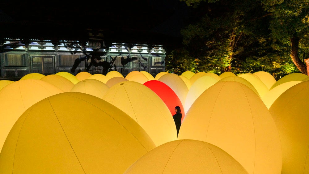 自立しつつも呼応する生命の森／画像提供：チームラボ