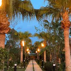 アワジ ラニカイ スクエア/提供画像