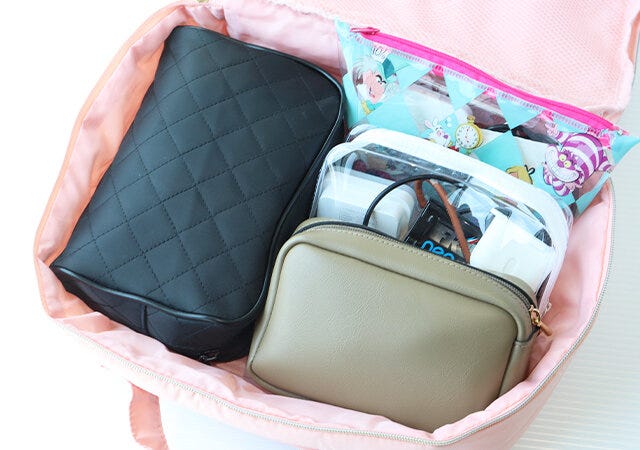 ムック本　ムック　付録　人気　おすすめ　オススメ　宝島社　宝島　レビュー　便利　優秀　当たり　最高　2023　ANA　THE