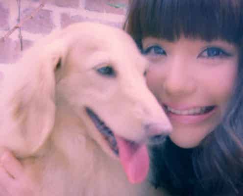益若つばさ、新CMで愛犬と初共演 「可愛すぎる」の声