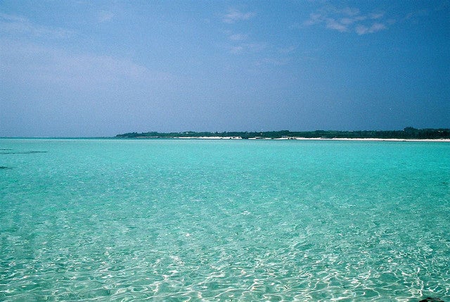 百合ケ浜から見渡す絶景／photo by imnakashima