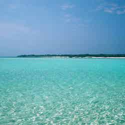 百合ケ浜から見渡す絶景/photo by imnakashima