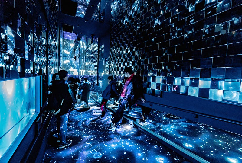 すみだ水族館「雪とクラゲ」雪とクラゲが調和する幻想的な冬展示