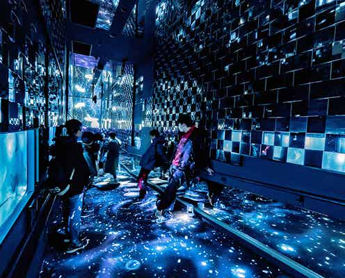すみだ水族館「雪とクラゲ」雪とクラゲが調和する幻想的な冬展示