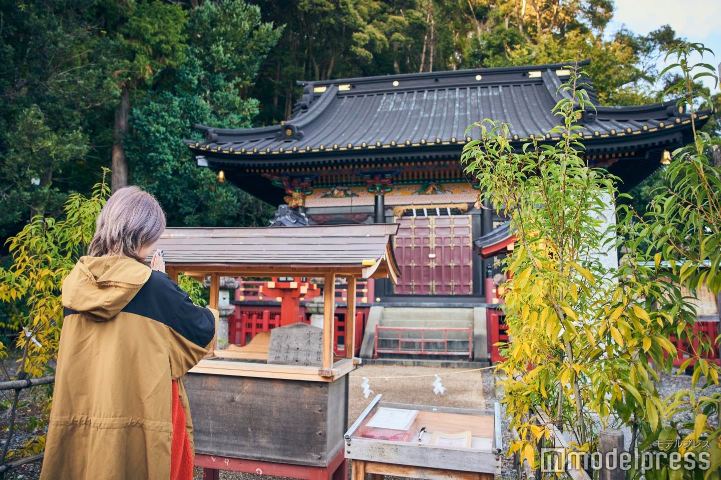 少彦名神社（C）モデルプレス