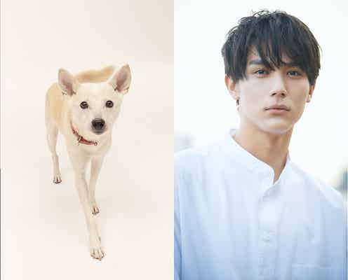 林遣都、映画「犬部!」主演抜擢 中川大志と“犬のためなら死ねる”獣医学部生役に