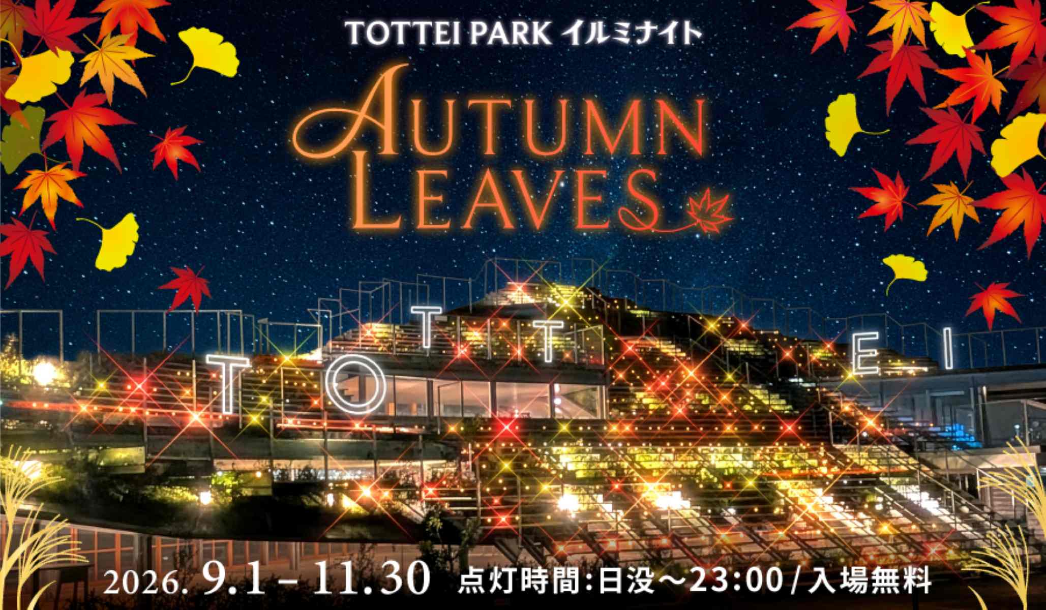 【神戸】「TOTTEI PARK」のイルミネーションが鮮やかな紅葉の世界に。 夜には「秋の花火大会」も
