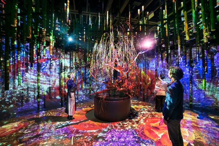 茶室-調心の間-／画像提供：ネイキッド