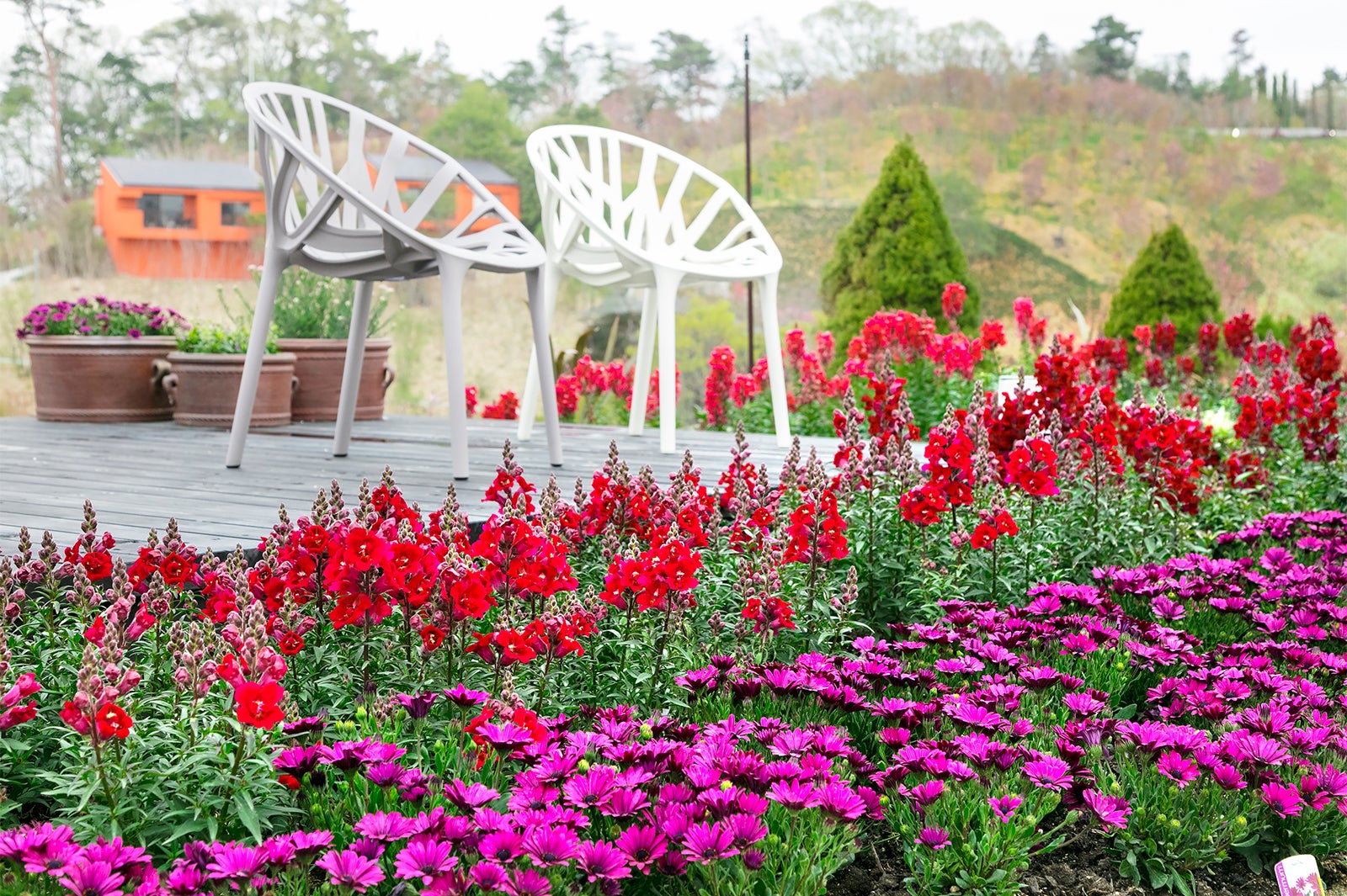 展望デッキ／画像提供：ネスタリゾート神戸
