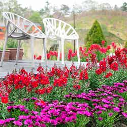 展望デッキ/画像提供:ネスタリゾート神戸