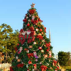東京ディズニーシー