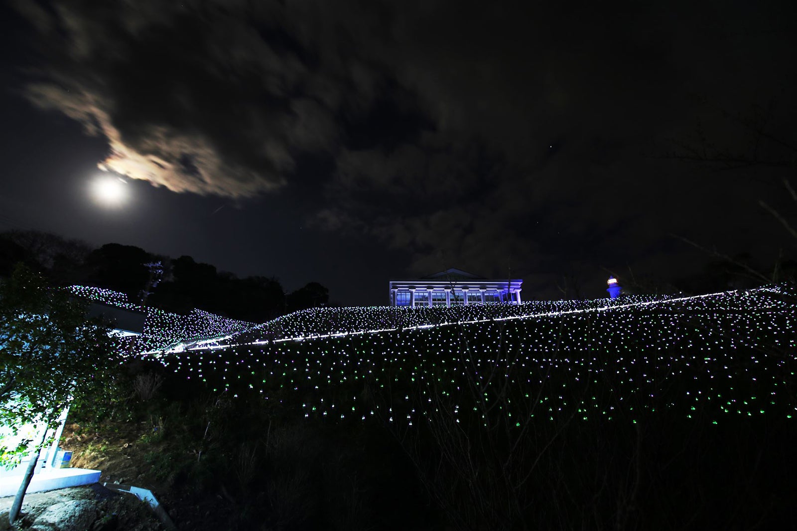 画像提供：越前町観光連盟