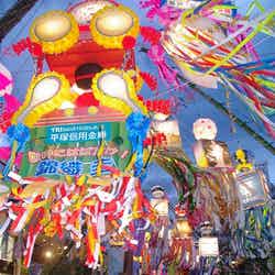 /七夕飾り色々(氏家勝男)/画像提供:湘南ひらつか七夕まつり実行委員会