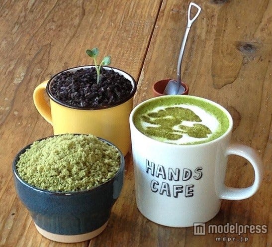 美しく優雅な“盆栽メニュー”を味わえる期間限定カフェが渋谷にオープン